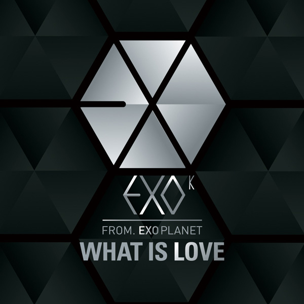 Cover for What Is Love