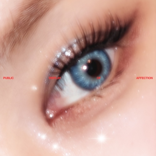 Cover for PDA